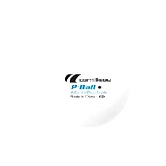 CORNILLEAU 1 YILDIZ 6'LI KUTU 40+ PLASTİK ANTRENMAN TOPU (BEYAZ)